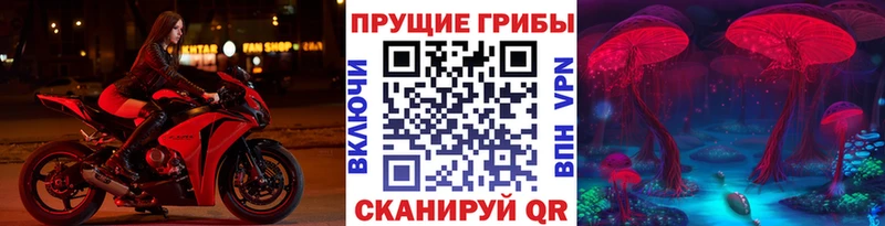 Псилоцибиновые грибы ЛСД  Купить  Пыталово 